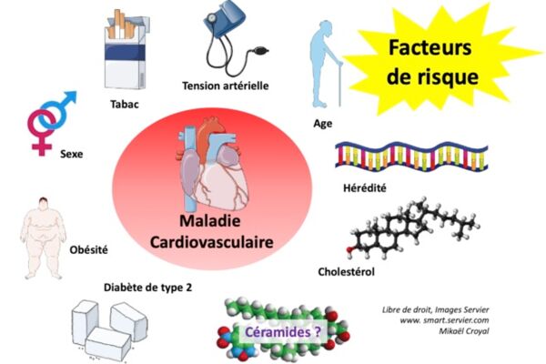 Facteur Risque Cardio Vasculaire – DFXDX